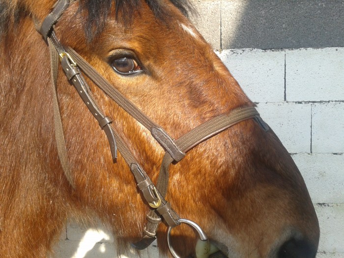 Photo de profil de evalguess