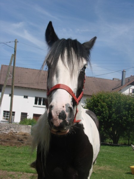 Photo de profil de honorine88