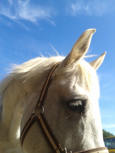 Photo de profil de aliks