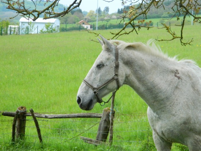 Photo de profil de dadouu88