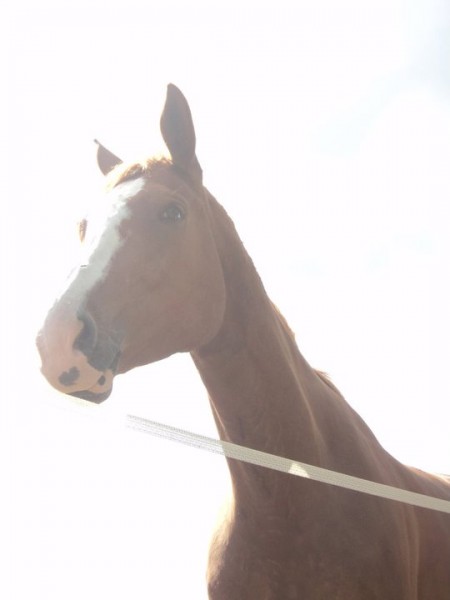 Photo de profil de petitereinette