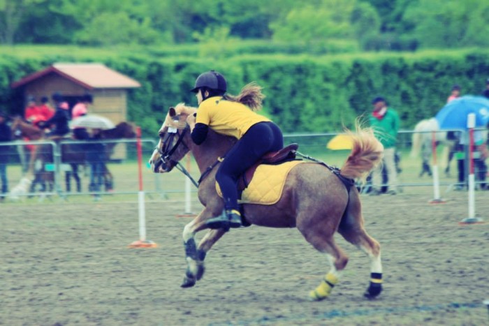 Photo de profil de lauramqs