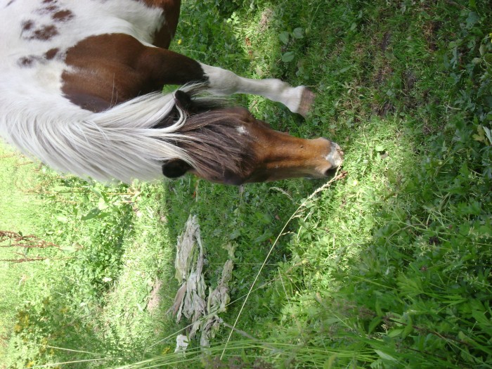 Photo de profil de gesabel