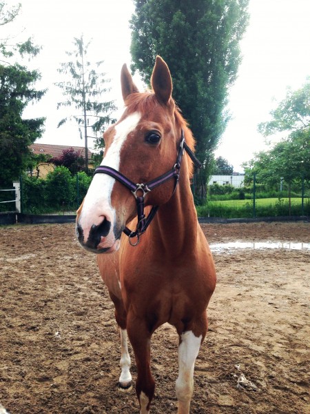 Photo de profil de cedru