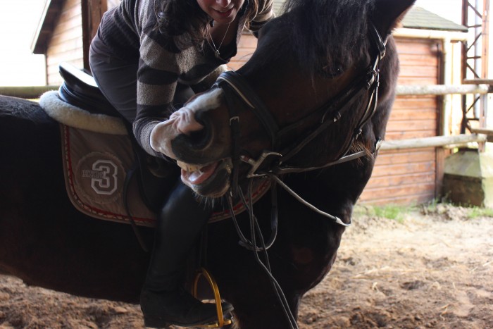 Photo de profil de qsr.tdt.