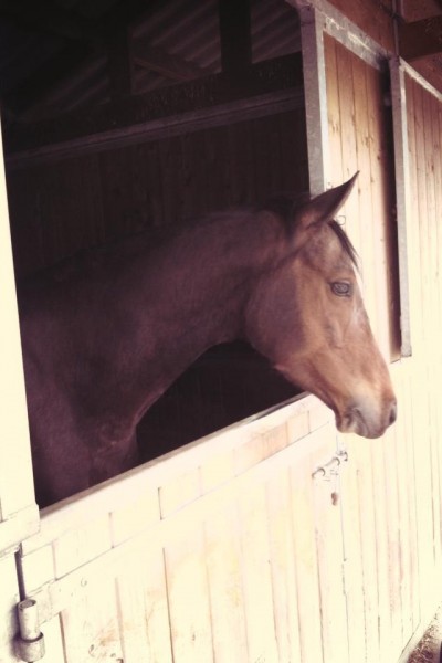 Photo de profil de sarahetbamona