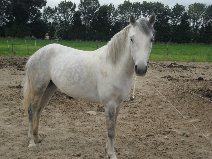 Photo de profil de auroraequideow