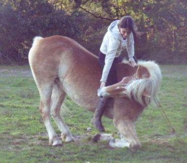Photo de profil de lena13