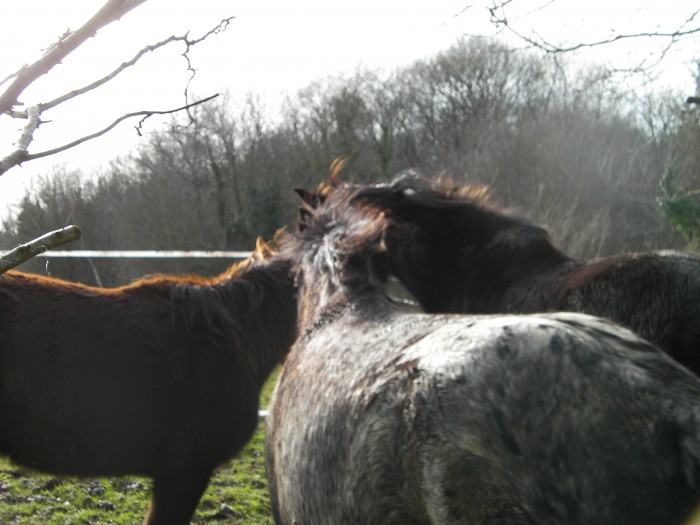 Photo de profil de veuzoue