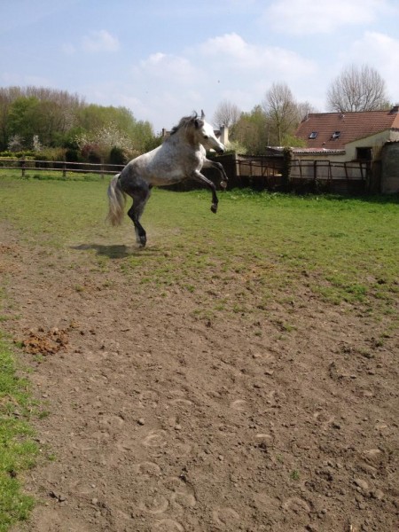 Photo de profil de celin3