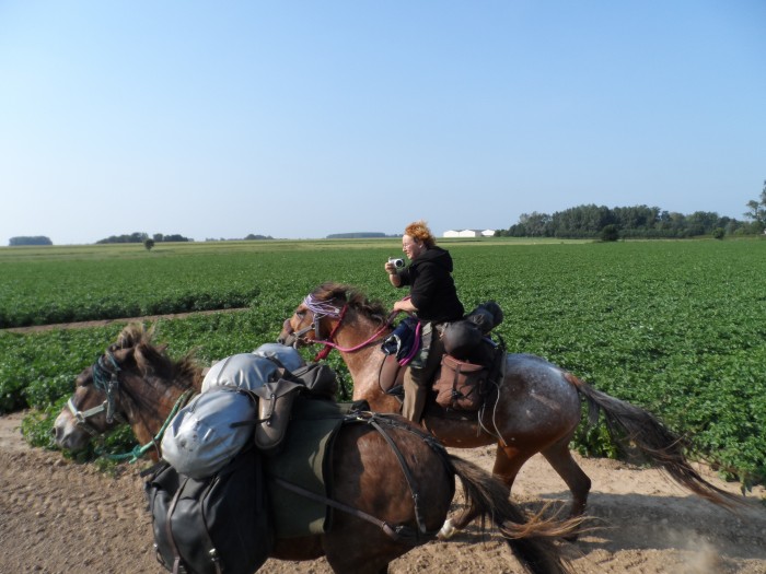 Photo de profil de sheetane2906199