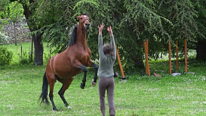 Photo de profil de ilovemondada