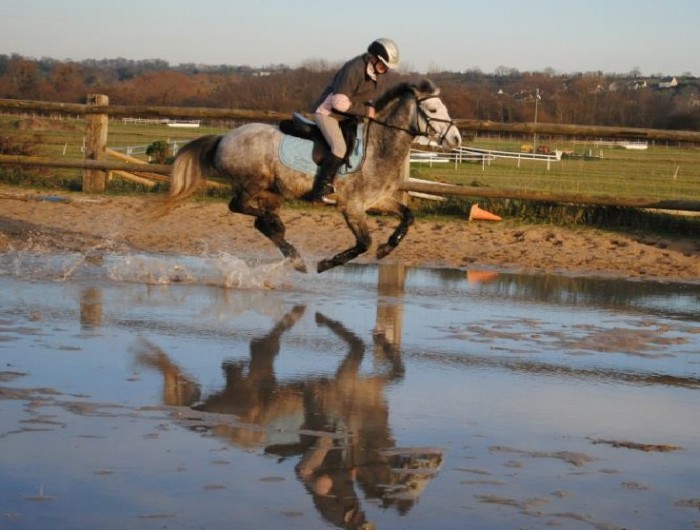 Photo de profil de sandy2016