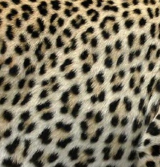 Photo de profil de aretha