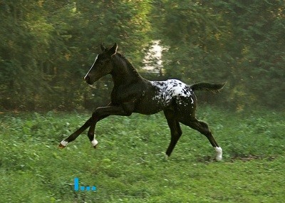 Photo de profil de operigo