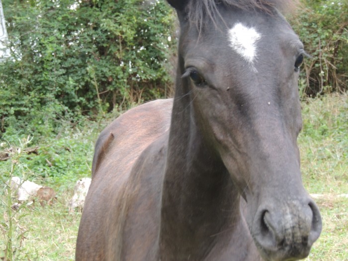 Photo de profil de lesgrumeaux09