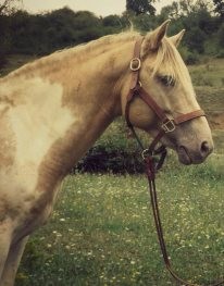 Photo de profil de appash28