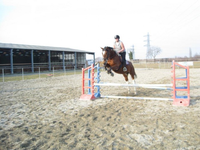 Photo de profil de nikistar