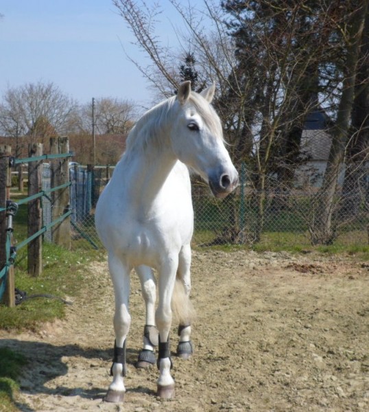 Photo de profil de flamencoclx
