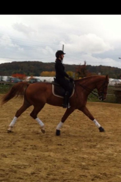 Photo de profil de highinzsky