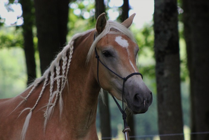 Photo de profil de lacampesina