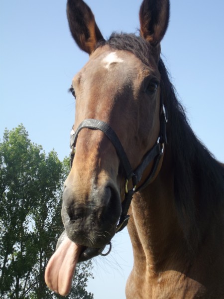 Photo de profil de espiglesf