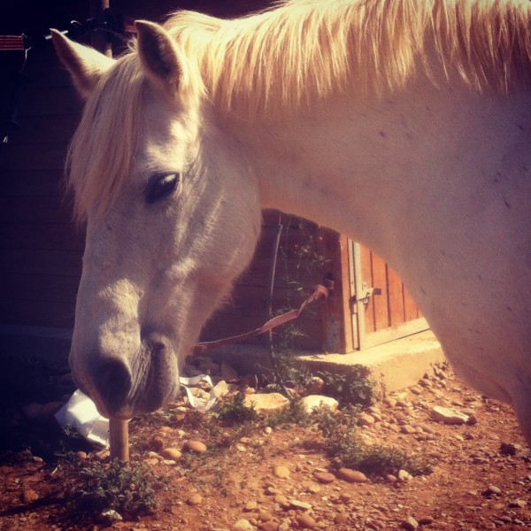 Photo de profil de manueladu30