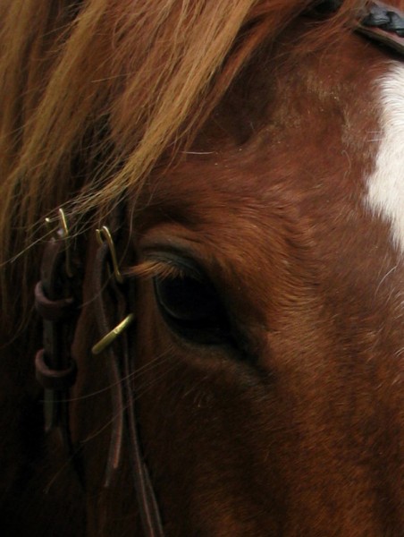 Photo de profil de linouch