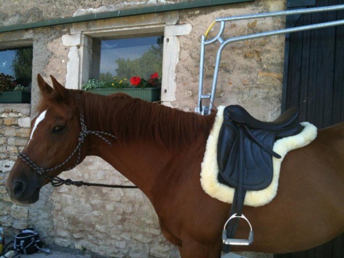 Photo de profil de silvergold7