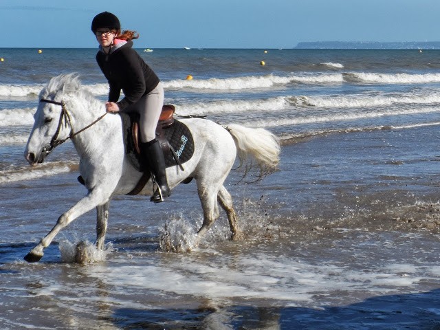 Photo de profil de helyx