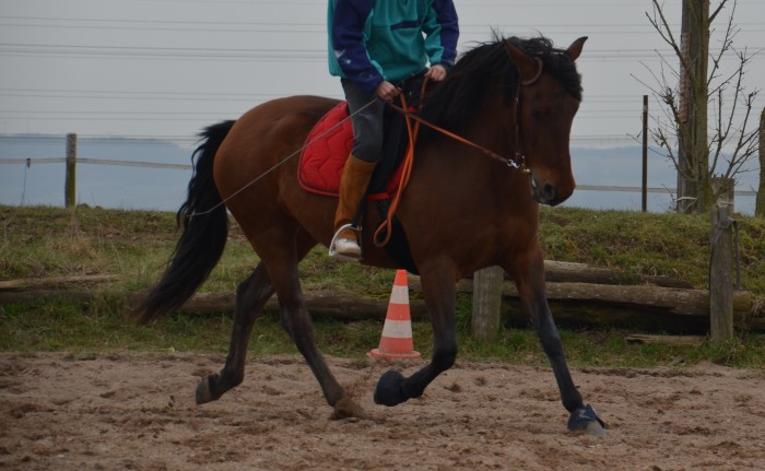 Photo de profil de margaret67