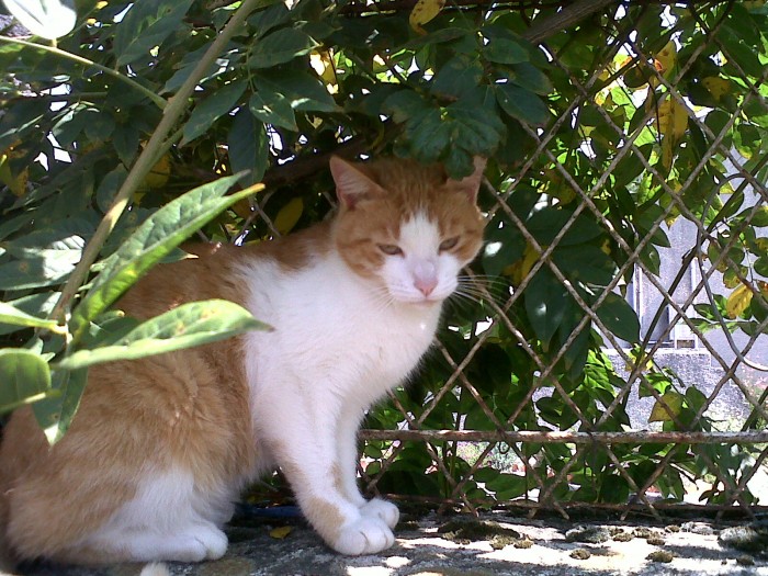 Photo de profil de peewit