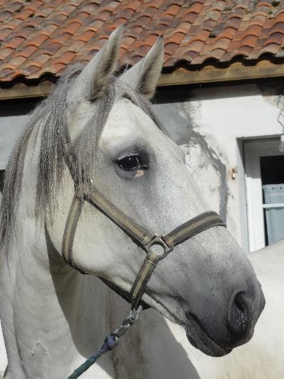 Photo de profil de kate47