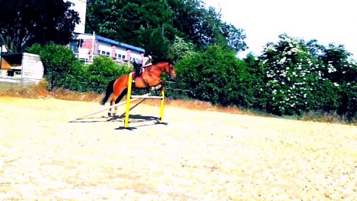 Photo de profil de tess60