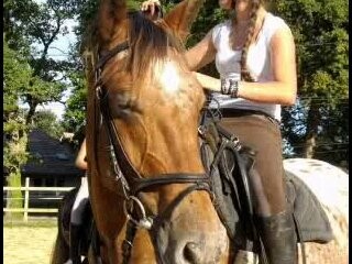 Photo de profil de sasch