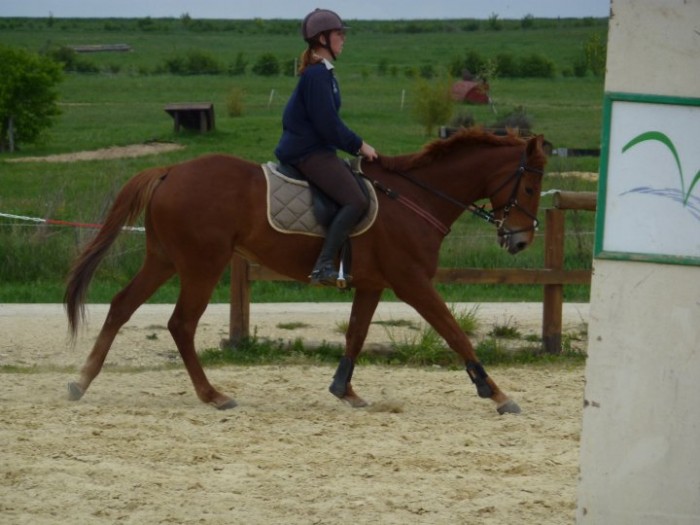 Photo de profil de roxie37