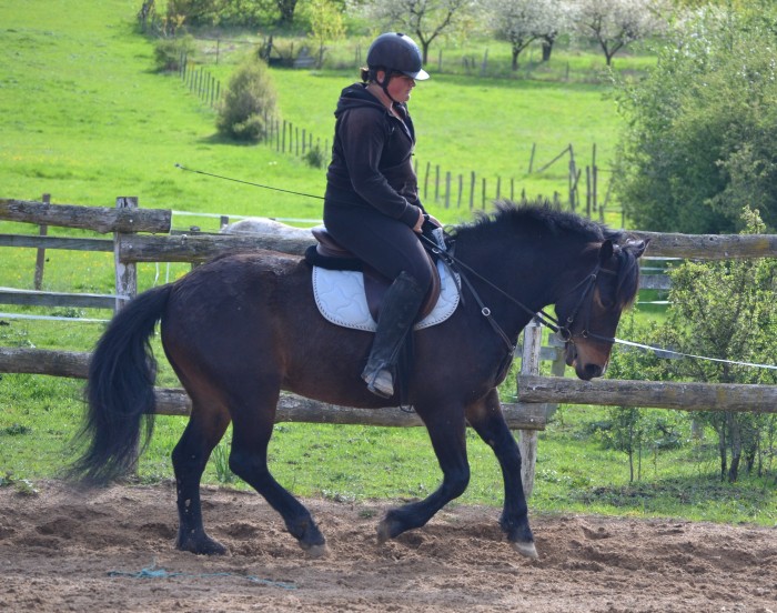 Photo de profil de amourdecheval69