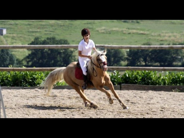 Photo de profil de andream