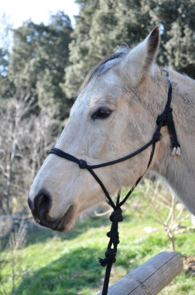 Photo de profil de valfela