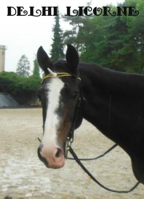 Photo de profil de marinette77176