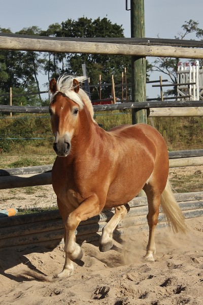 Photo de profil de seigneurduvent