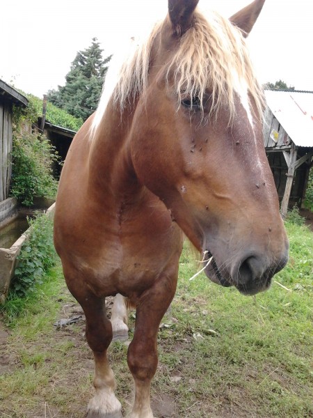 Photo de profil de vanilledamour