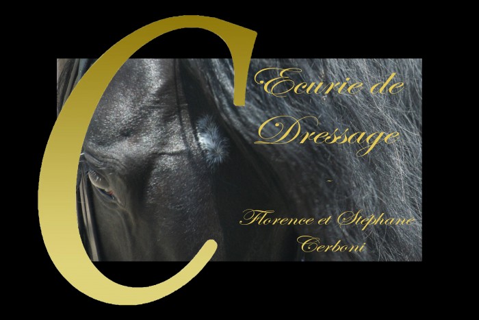 Photo de profil de ecuriecerboni