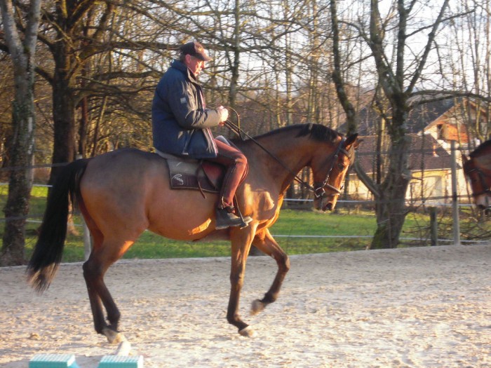 Photo de profil de harvest03