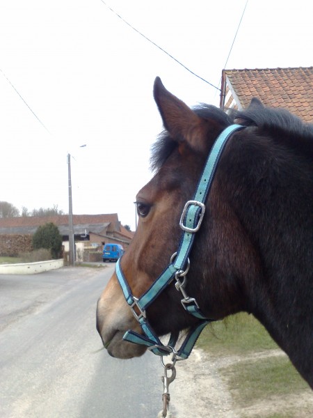 Photo de profil de burette