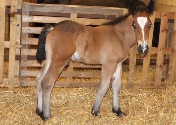 Photo de profil de ulotte22