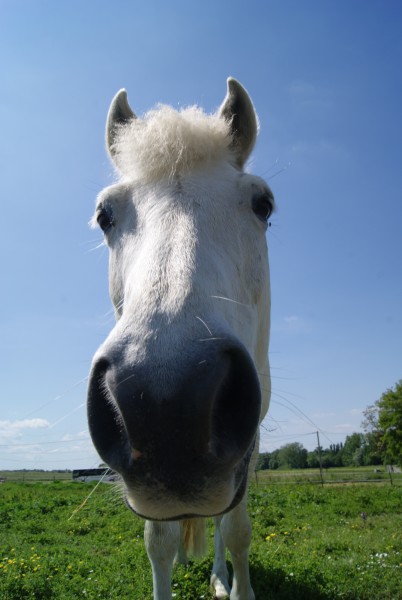 Photo de profil de popotine