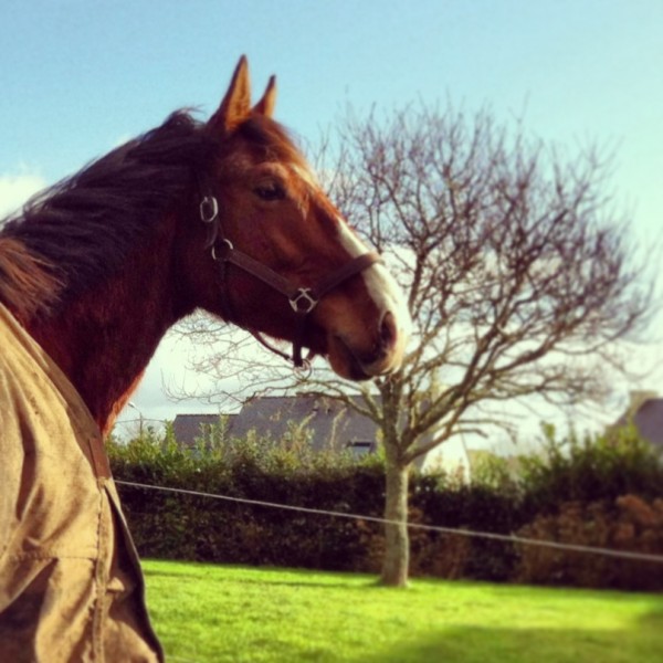 Photo de profil de mcandice