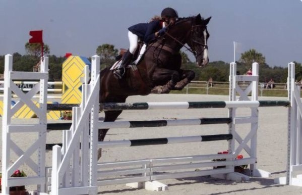 Photo de profil de shayna