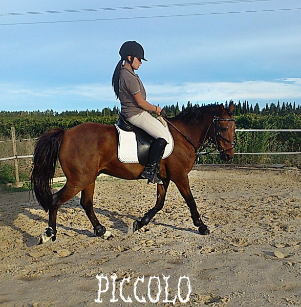 Photo de profil de lisakiitty